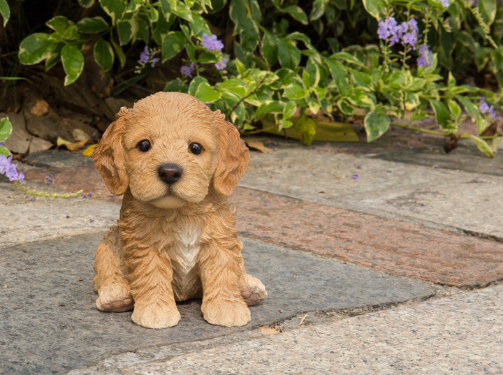 Brown Cockapoo Puppy Resin Statue for Home Décor – Hi-Line Gift Ltd.