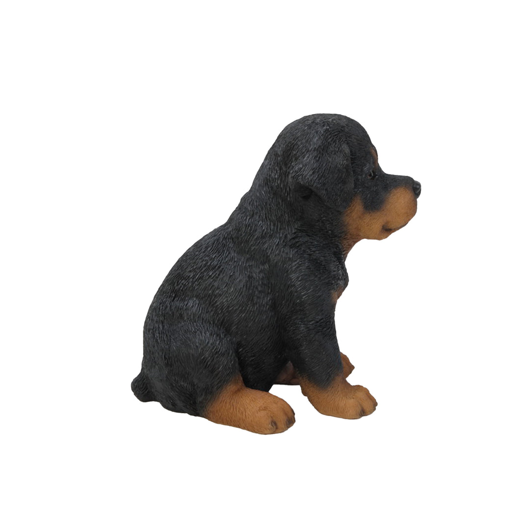 Rottweiler Puppy Statue HI-LINE GIFT LTD.