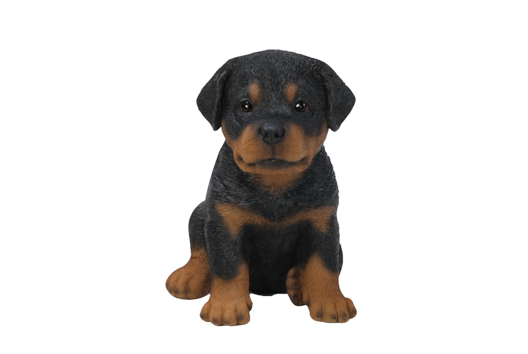 Rottweiler Puppy Statue - Home Decor - Hi-Line Gift Ltd.