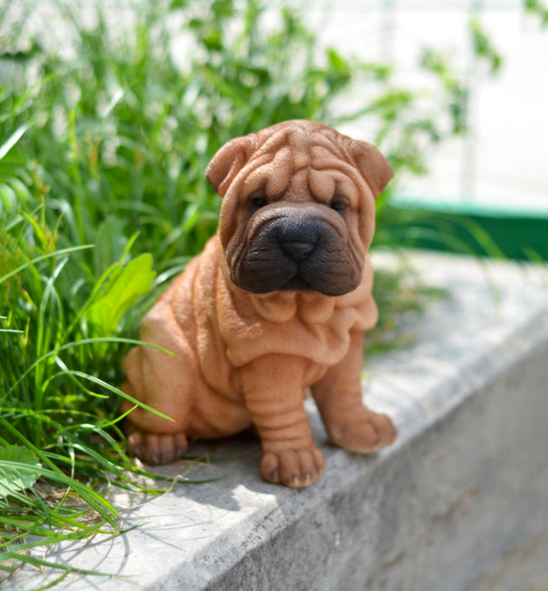 Shar Pei Which Dog Breed Is Most Closely Related To The Wolf