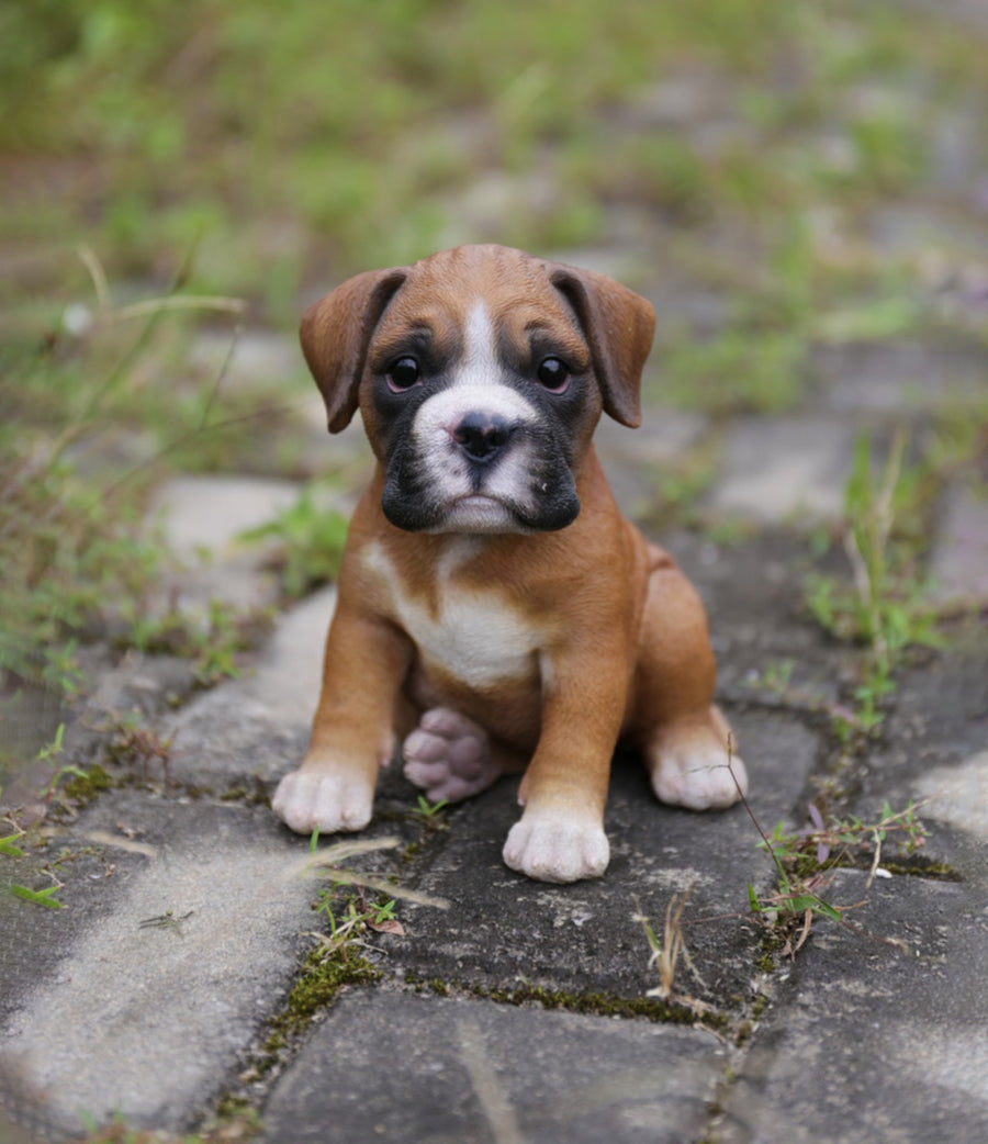 Pet Pals - Boxer Puppy HI-LINE GIFT LTD.