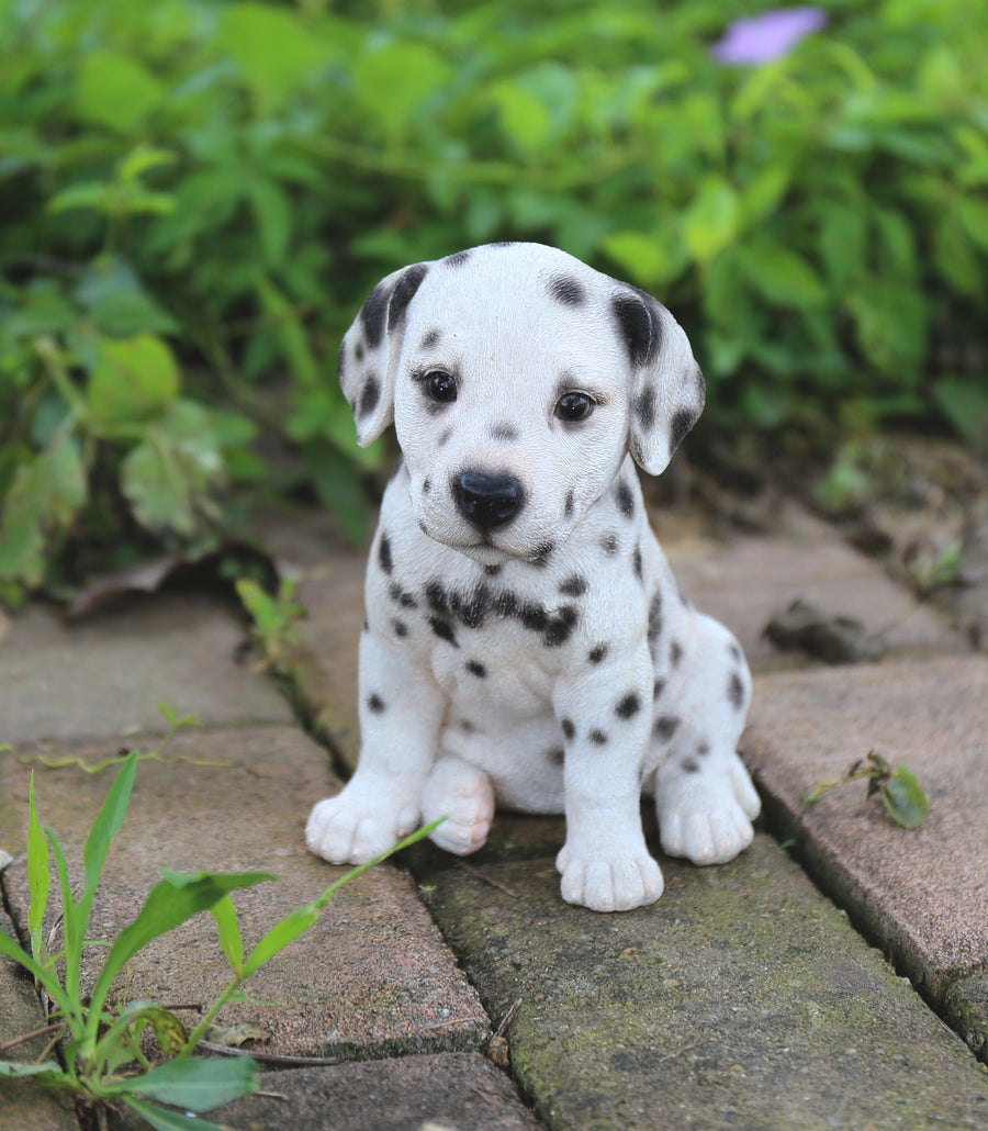 Pet Pals - Dalmatian Puppy White Statue HI-LINE GIFT LTD.