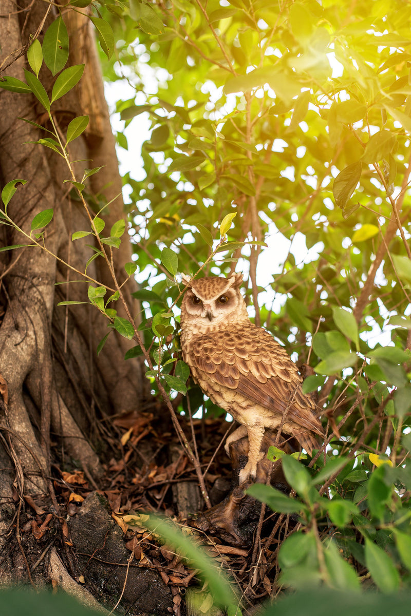 Great Horned Owl on Stump Statue HI-LINE GIFT LTD.