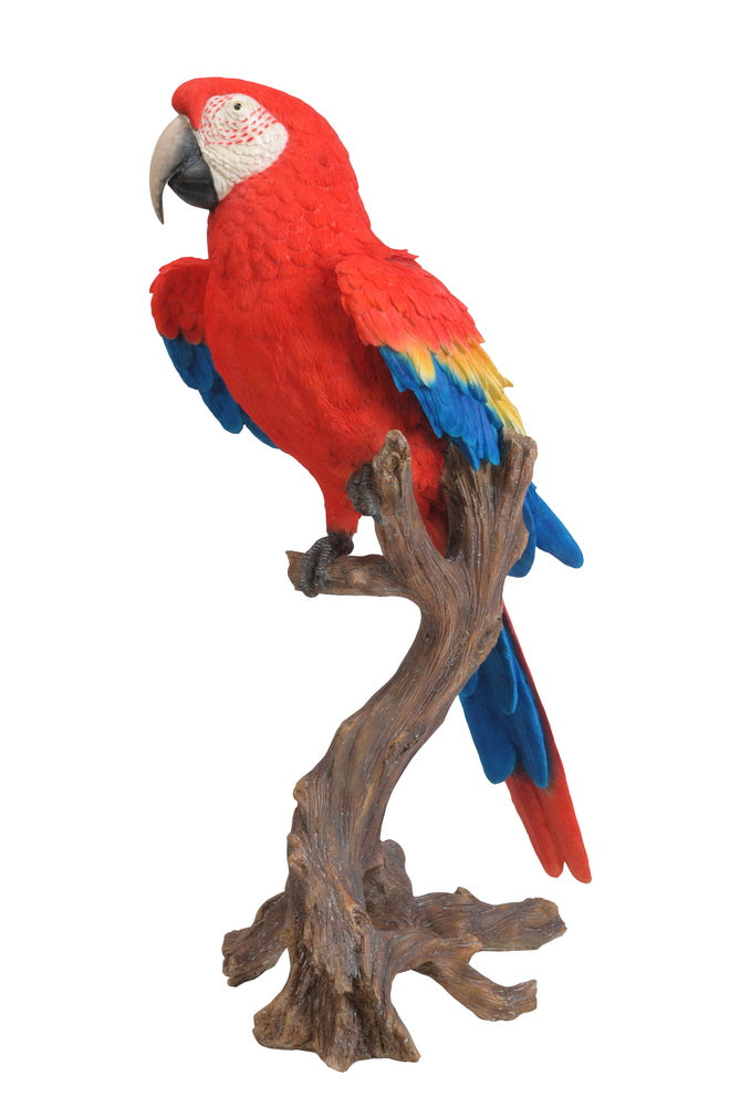 Large Macaw Scarlet Garden Statue HI-LINE GIFT LTD.