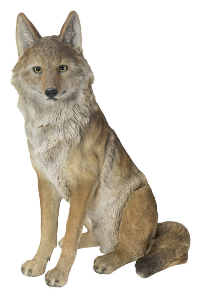 Sitting Coyate Statue HI-LINE GIFT LTD.