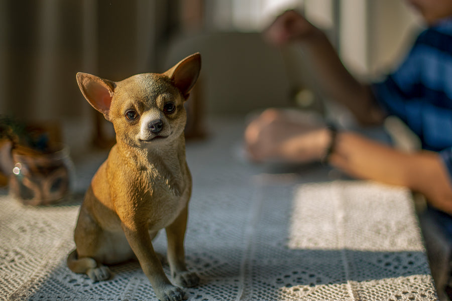 Chihuahua Sitting Statue HI-LINE GIFT LTD.