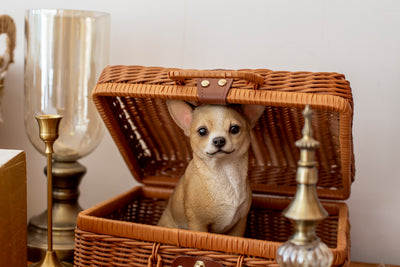 Chihuahua Sitting Statue HI-LINE GIFT LTD.