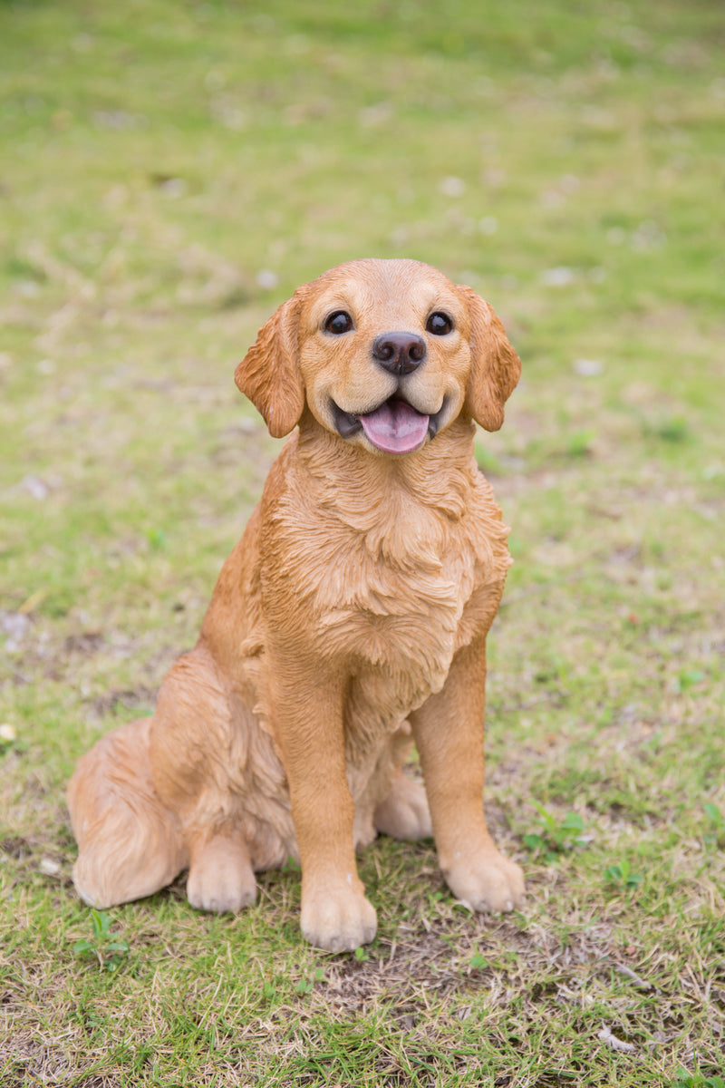 87796-M - Sitting Golden Retriever Statue Hi-Line Gift Ltd.