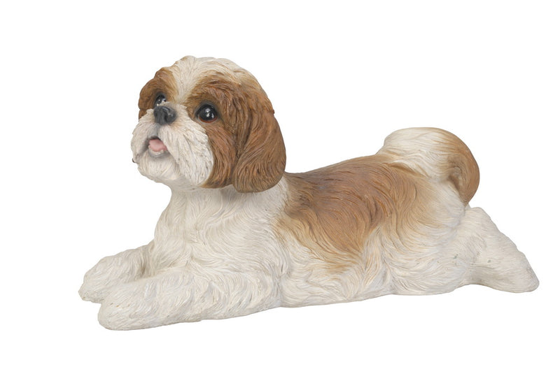 Shi Tzu puppy Lying Down-Brown and White Statue HI-LINE GIFT LTD.