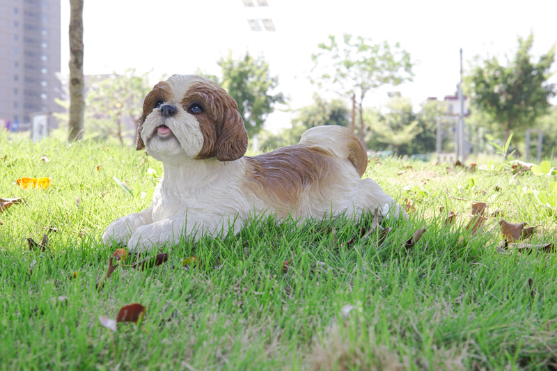 Shi Tzu puppy Lying Down-Brown and White Statue HI-LINE GIFT LTD.