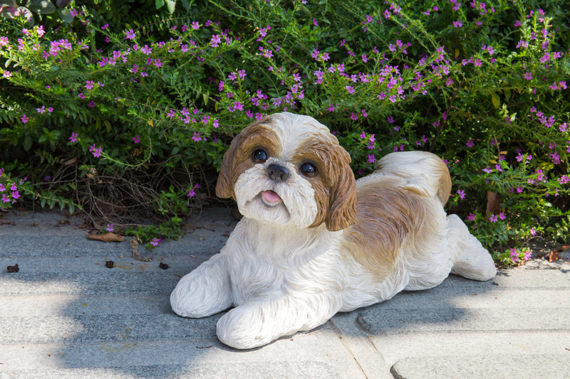 Shi Tzu puppy Lying Down-Brown and White Statue HI-LINE GIFT LTD.