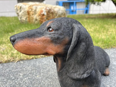 87799-C - Dachshund Black (Hi-Line Exclusive) Hi-Line Gift Ltd.