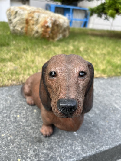 87799-D - Dachshund Brown (Hi-Line Exclusive) Hi-Line Gift Ltd.