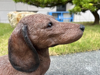 87799-D - Dachshund Brown (Hi-Line Exclusive) Hi-Line Gift Ltd.