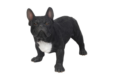 French Bulldog Statue HI-LINE GIFT LTD.