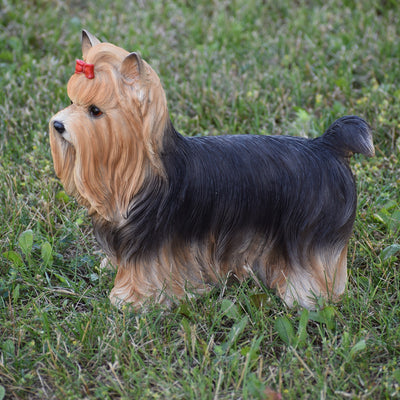 Yorkshire Terrier Statue HI-LINE GIFT LTD.