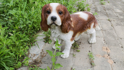 Brown/White King Charles Spaniel Standing Statue Hi-Line Gift Ltd.