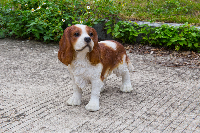 Brown/White King Charles Spaniel Standing Statue Hi-Line Gift Ltd.