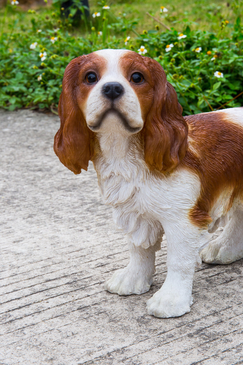 Brown/White King Charles Spaniel Standing Statue Hi-Line Gift Ltd.