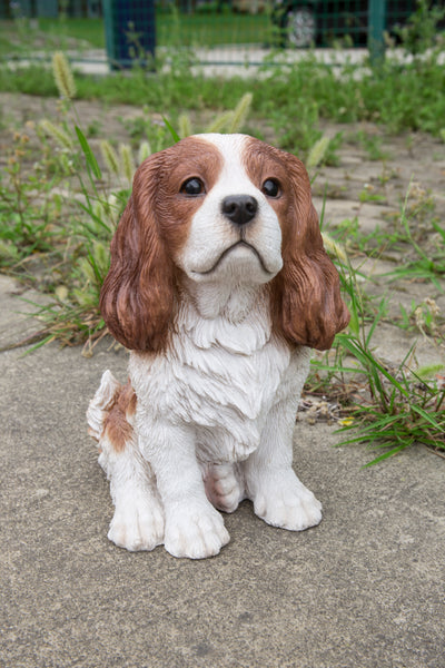 King Charles Spaniel Sitting - Brown and White Statue HI-LINE GIFT LTD.