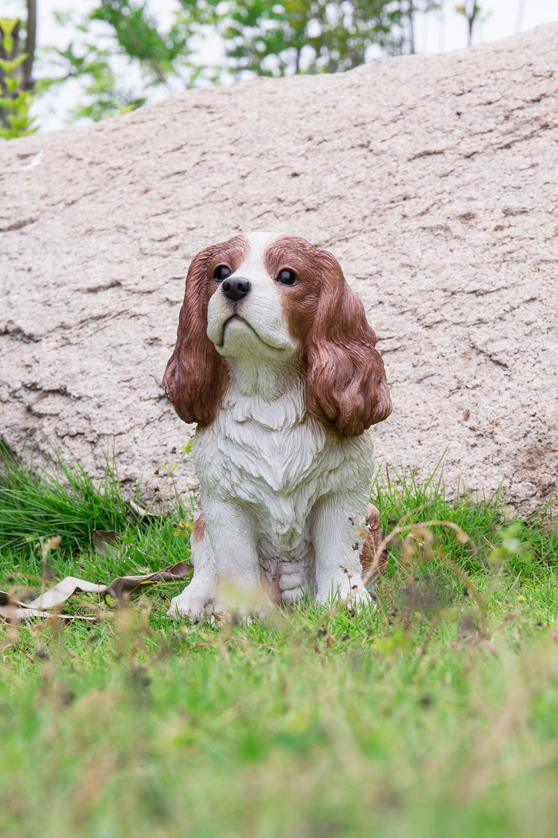 King Charles Spaniel Sitting - Brown and White Statue HI-LINE GIFT LTD.