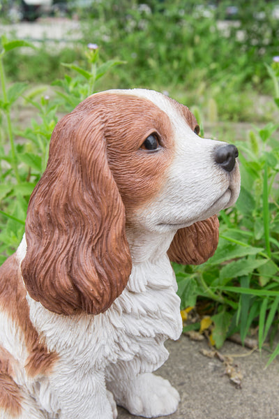 King Charles Spaniel Sitting - Brown and White Statue HI-LINE GIFT LTD.