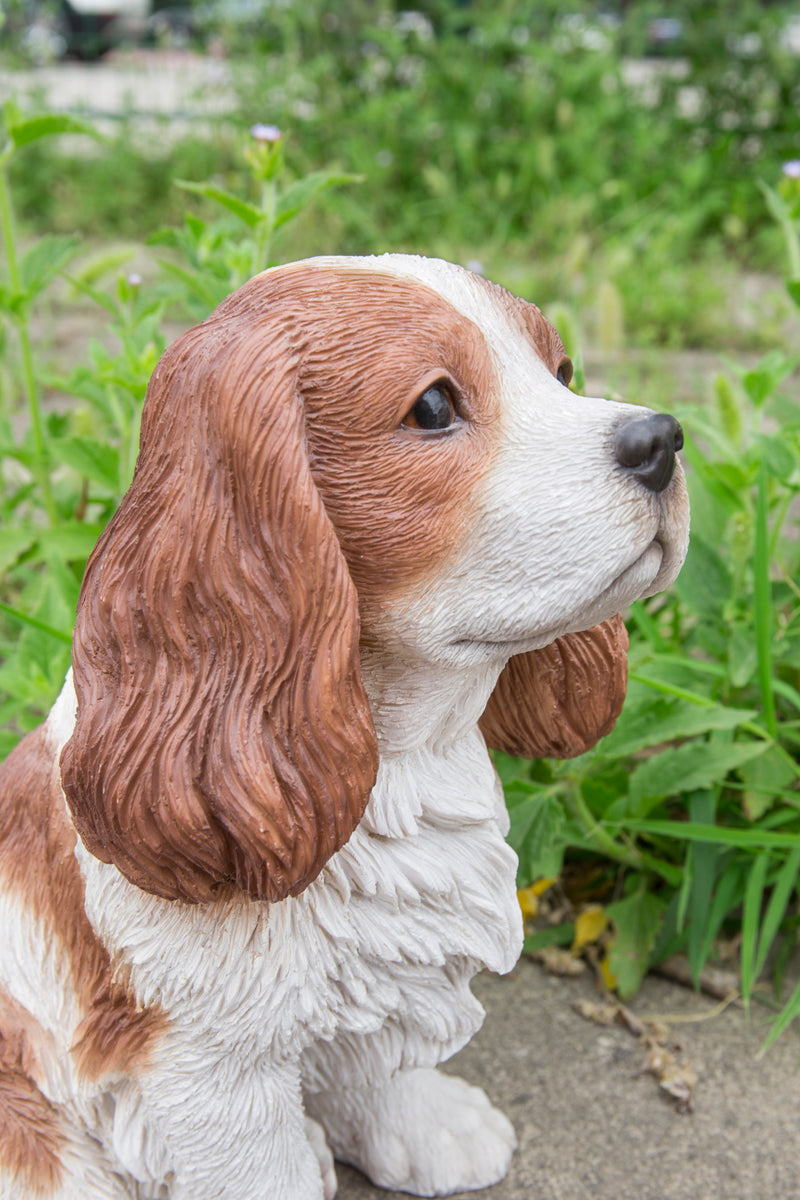 King Charles Spaniel Sitting - Brown and White Statue HI-LINE GIFT LTD.