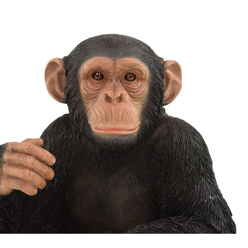 Monkey Sitting Hi-Line Gift Ltd.