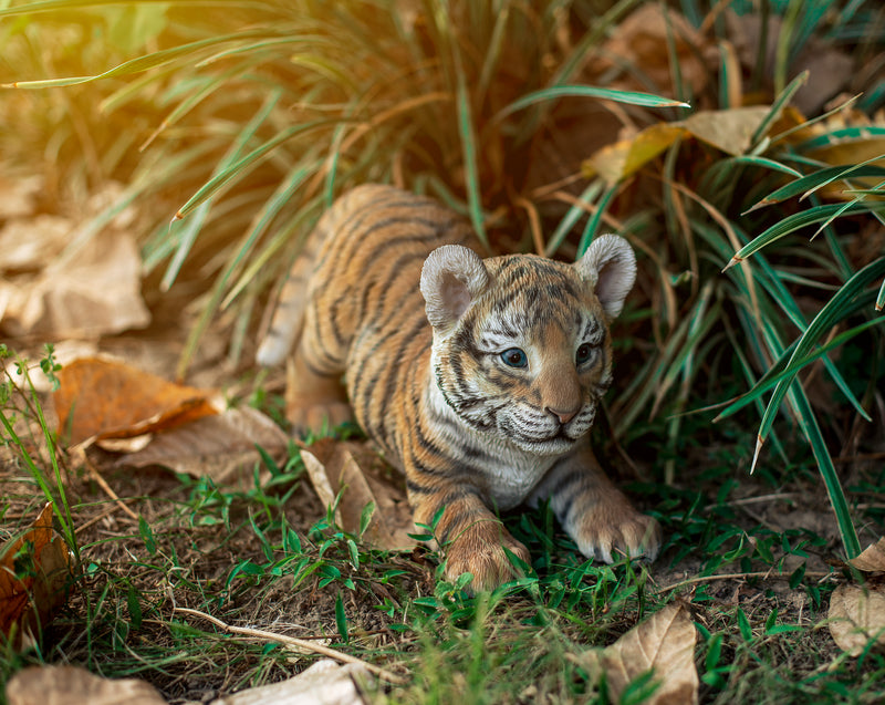 Tiger Baby Playing Statue HI-LINE GIFT LTD.