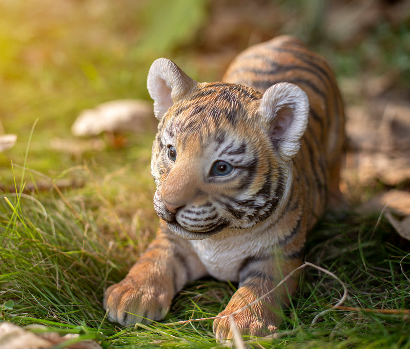 Tiger Baby Playing Statue HI-LINE GIFT LTD.