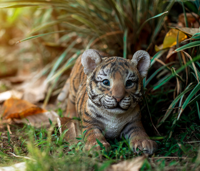 Tiger Baby Playing Statue HI-LINE GIFT LTD.