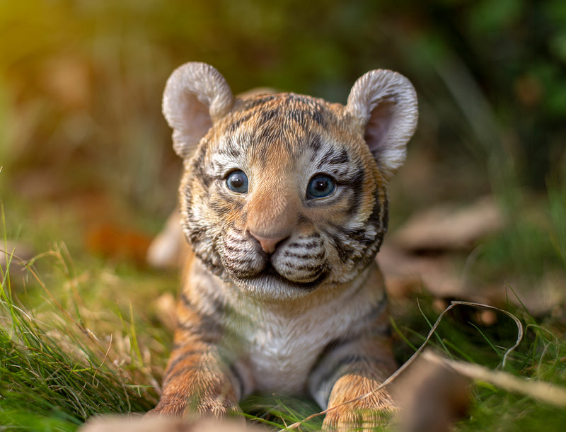 Tiger Baby Playing Statue HI-LINE GIFT LTD.
