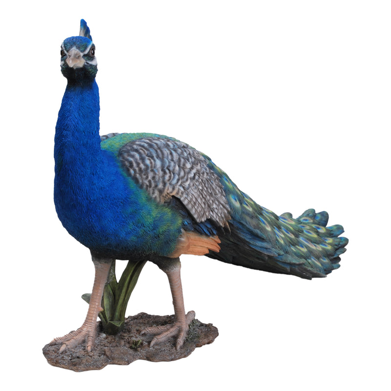 Peacock Hi-Line Gift Ltd.