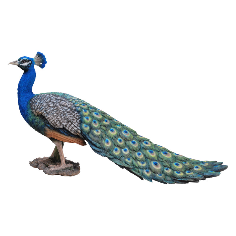 Peacock Hi-Line Gift Ltd.