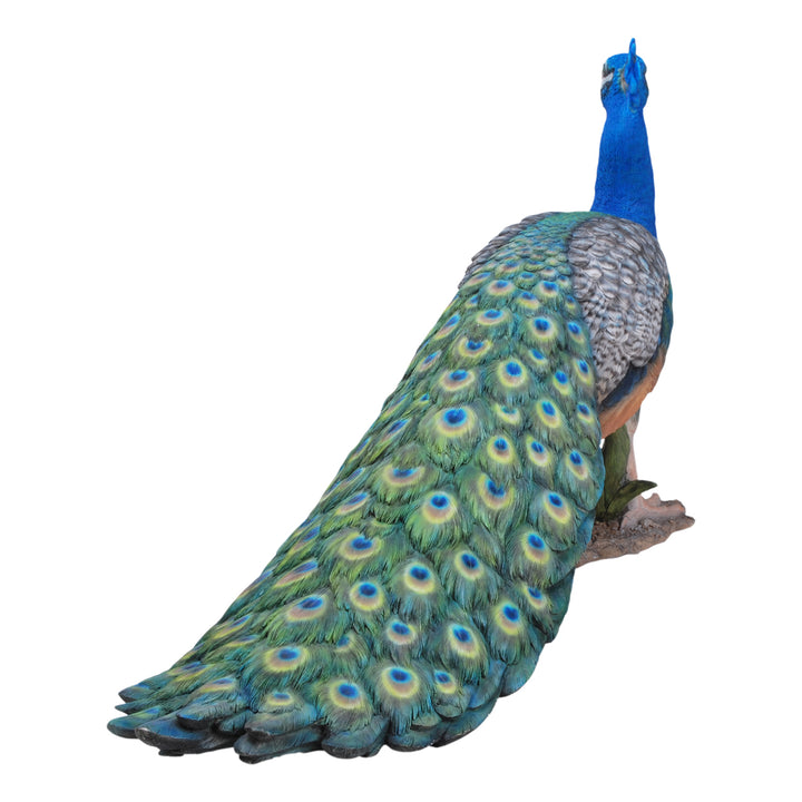 Peacock Hi-Line Gift Ltd.