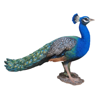 Peacock Hi-Line Gift Ltd.