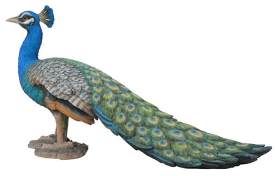 Small Peacock Hi-Line Gift Ltd.