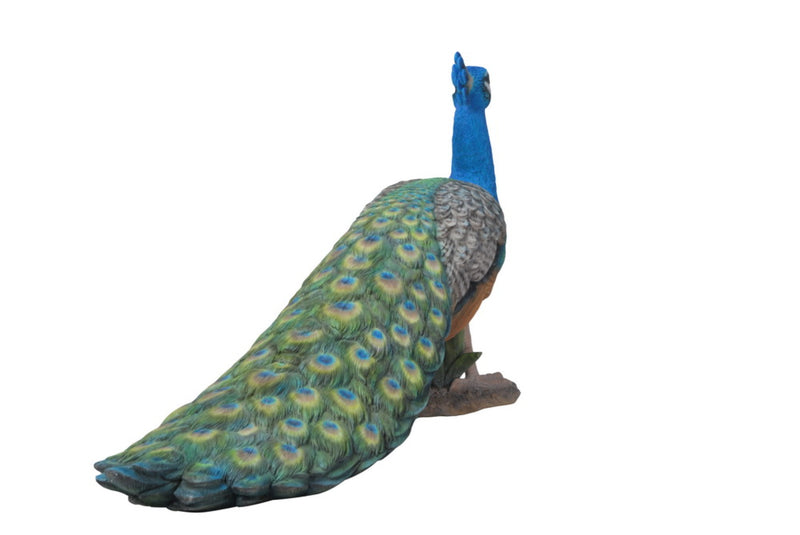 Small Peacock Hi-Line Gift Ltd.