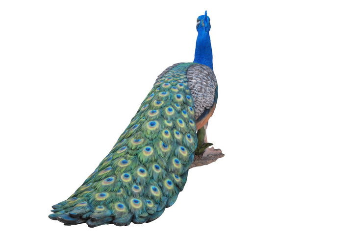 Peacock Hi-Line Gift Ltd.