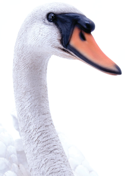 Swan Statue Hi-Line Gift Ltd.
