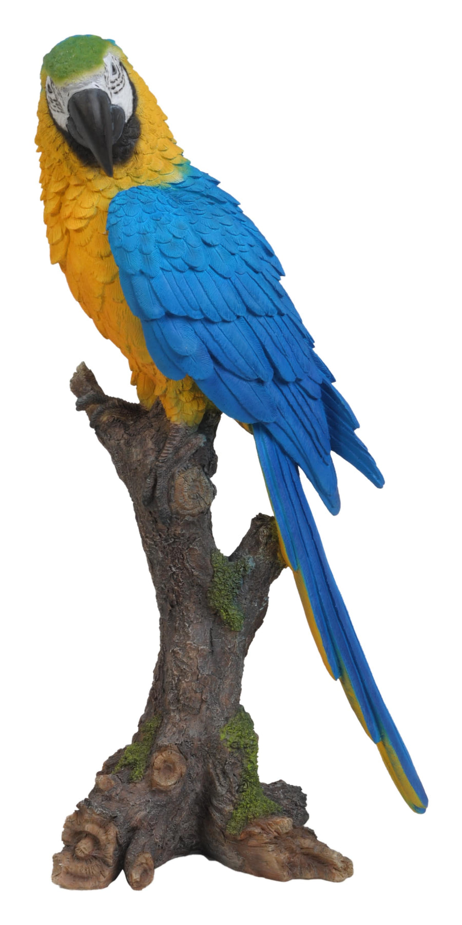 Parrot on Branch-Blue/Yellow Statue HI-LINE GIFT LTD.