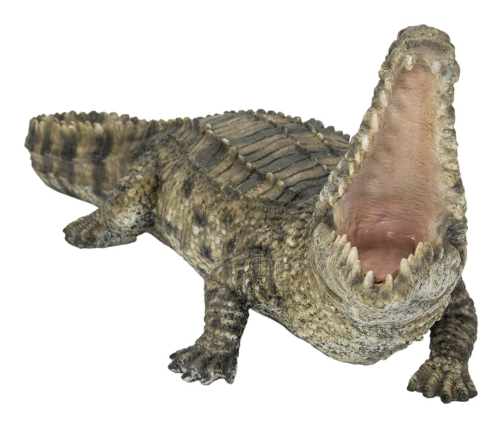 Crocodile With Mouth Open Up HI-LINE GIFT LTD.