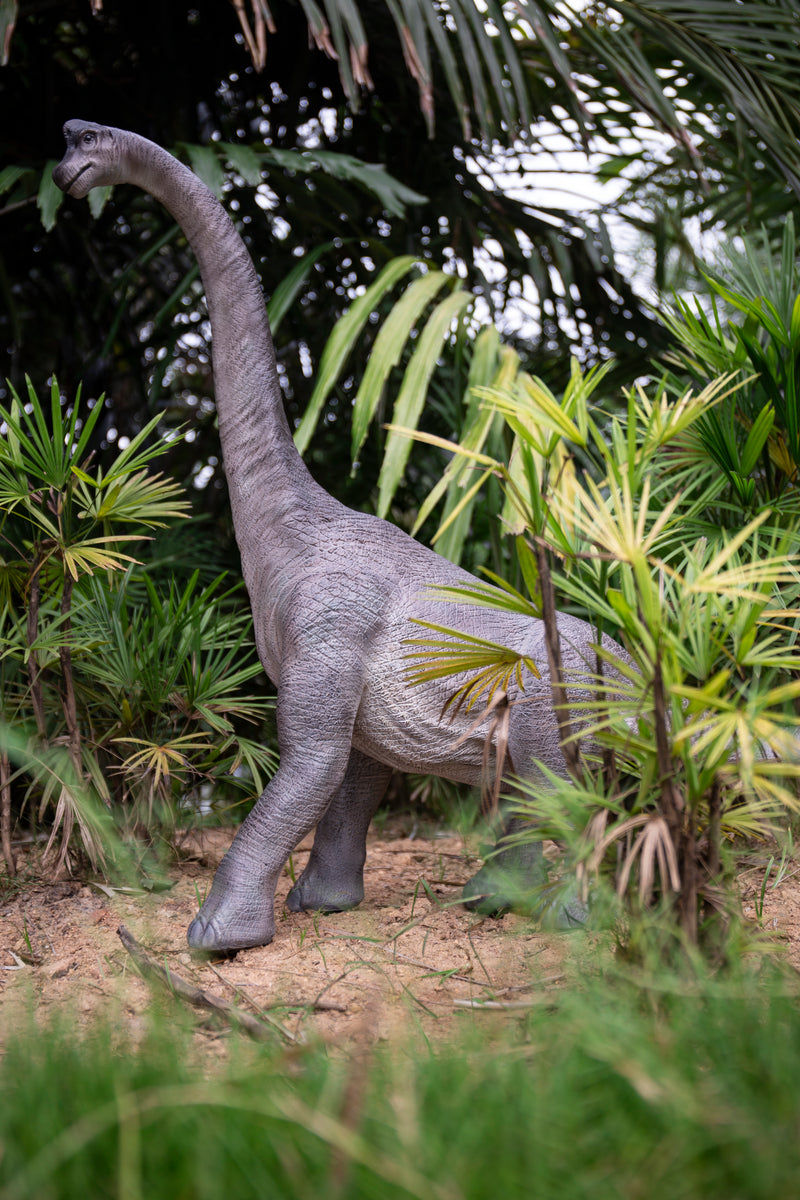 Dinosaur-Brachiosaurus HI-LINE GIFT LTD.