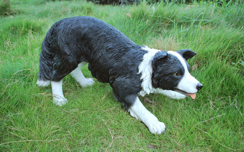87944 - Dog-Border Collie Hi-Line Gift Ltd.