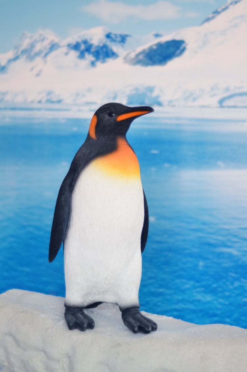 Small Penguin Statue Hi-Line Gift Ltd.