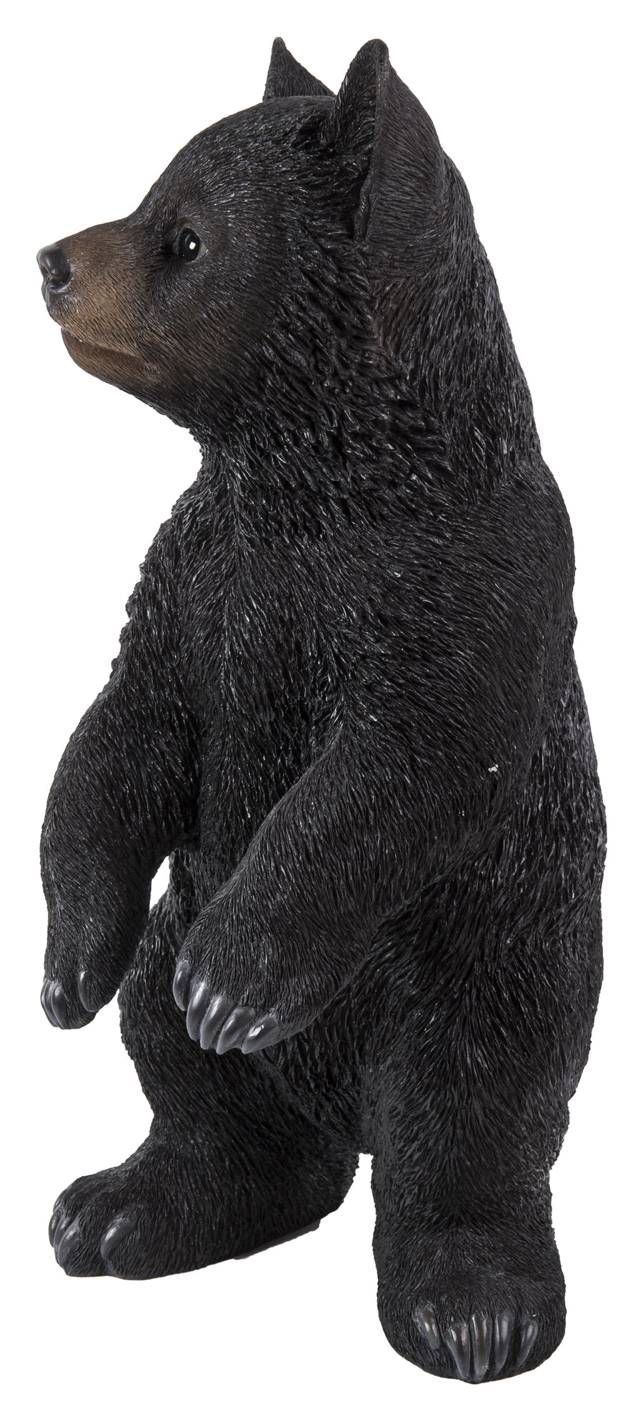 Black Bear Cub Standing HI-LINE GIFT LTD.