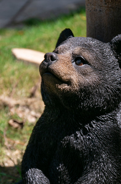 Sitting Black Bear Cub With Head Up HI-LINE GIFT LTD.