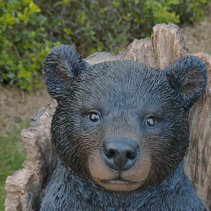 87957-M - Lone Cub Haven: Intriguing Black Polyresin Bear in Stump Figurine Hi-Line Gift Ltd.