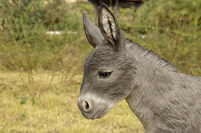 Donkey Standing Statue HI-LINE GIFT LTD.