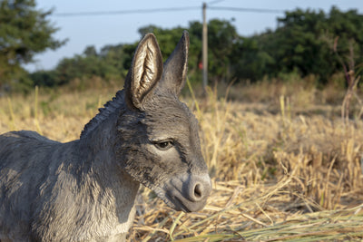 Donkey Standing Statue HI-LINE GIFT LTD.